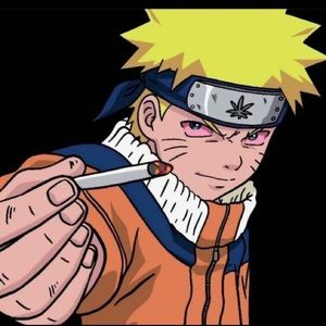 Meet your Posher, Hunter